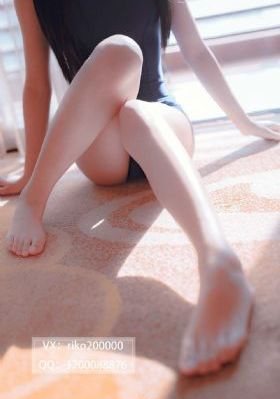 文豪野犬第二季免费观看全集_蓝光高清视频观看